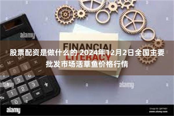 股票配资是做什么的 2024年12月2日全国主要批发市场活草鱼价格行情