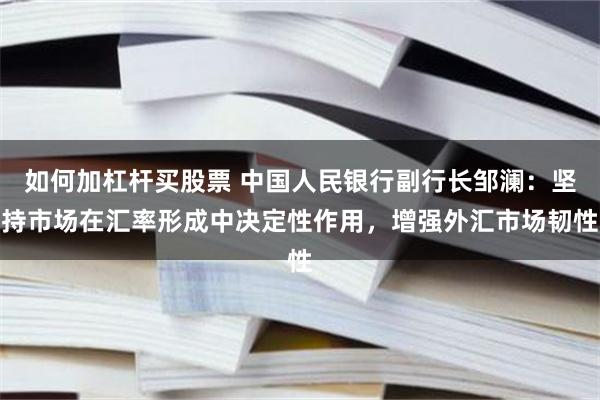 如何加杠杆买股票 中国人民银行副行长邹澜：坚持市场在汇率形成中决定性作用，增强外汇市场韧性
