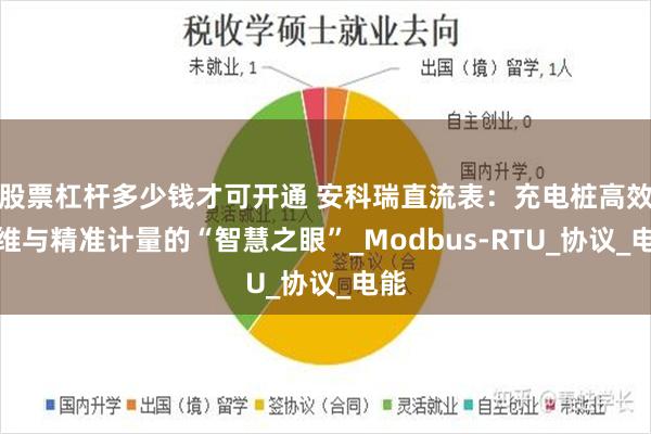 股票杠杆多少钱才可开通 安科瑞直流表：充电桩高效运维与精准计量的“智慧之眼”_Modbus-RTU_协议_电能