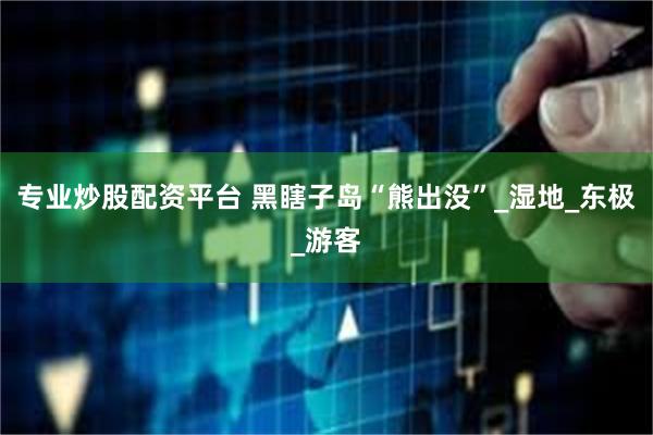 专业炒股配资平台 黑瞎子岛“熊出没”_湿地_东极_游客