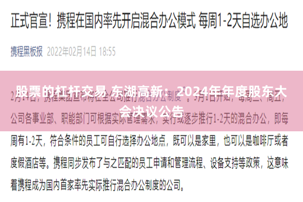 股票的杠杆交易 东湖高新：2024年年度股东大会决议公告