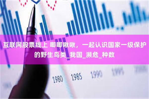 互联网股票线上 唧唧啾啾，一起认识国家一级保护的野生鸟类_我国_濒危_种数