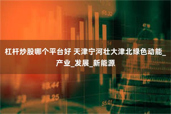 杠杆炒股哪个平台好 天津宁河壮大津北绿色动能_产业_发展_新能源