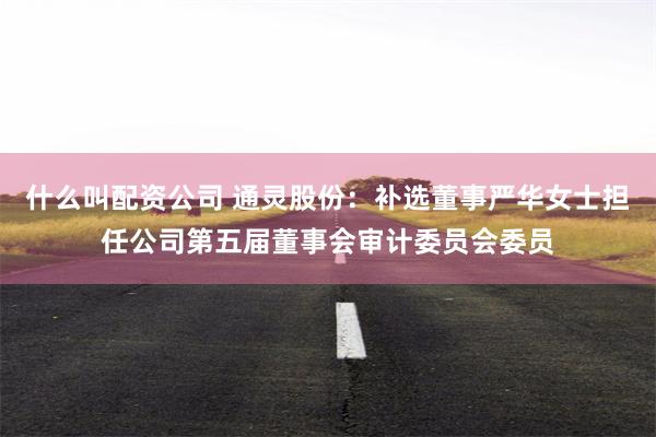 什么叫配资公司 通灵股份：补选董事严华女士担任公司第五届董事会审计委员会委员