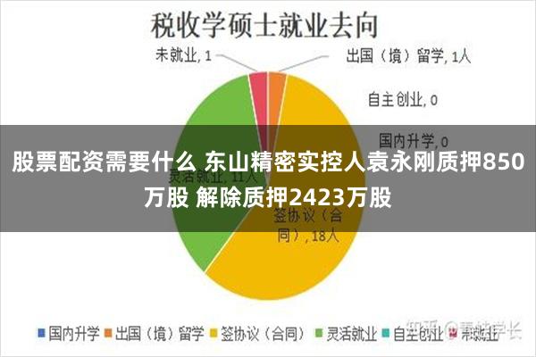 股票配资需要什么 东山精密实控人袁永刚质押850万股 解除质押2423万股